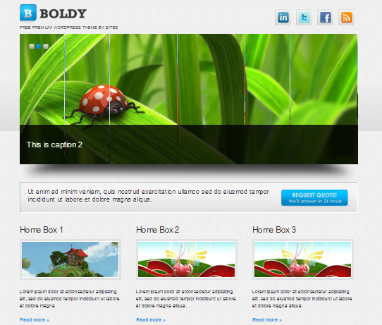 WordPress Boldy Türkçe Tema